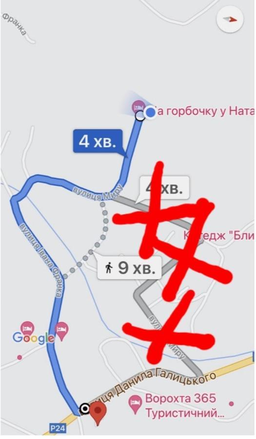 Na Gorbochku U Natali Hotel Ворохта Екстериор снимка
